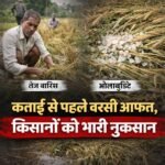 WhatsApp Image 2026-04-04 at 12.45.30 PM