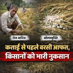 WhatsApp Image 2026-04-04 at 12.45.30 PM