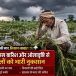 WhatsApp Image 2026-04-09 at 3.03.24 PM (1)