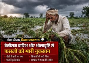 WhatsApp Image 2026-04-09 at 3.03.24 PM (1)